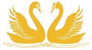 Perth Swan Maxi Logo